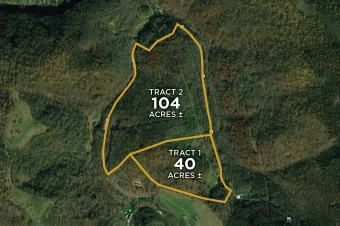 Taylor Co WV 144± Acres In 2 Tracts